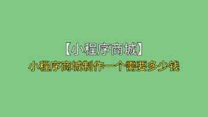 微信小程序商城开发的流程-Shenshop社交新零售电商系统